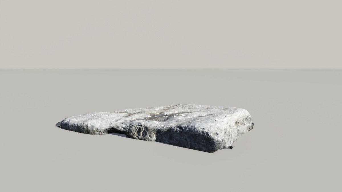 Shell Fossil 3D Scanned Model 3D model_1