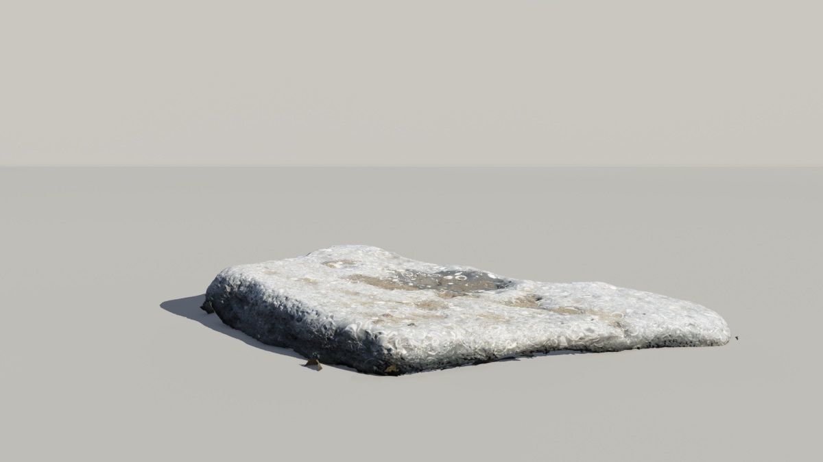 Shell Fossil 3D Scanned Model 3D model_4