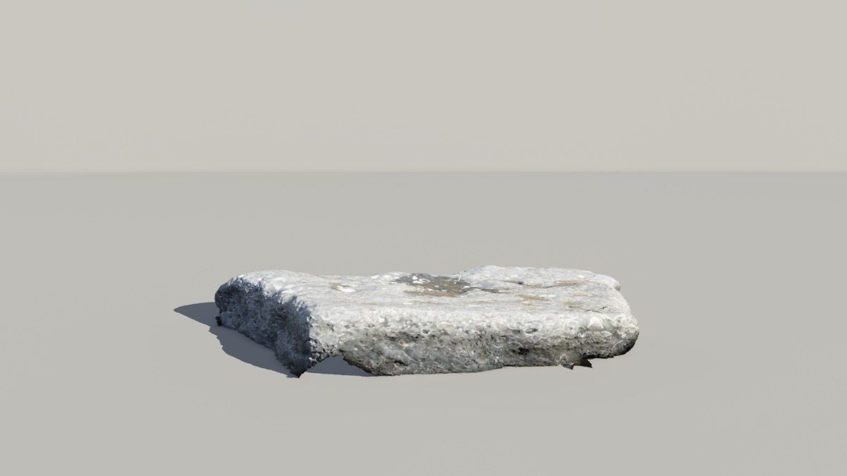 Shell Fossil 3D Scanned Model 3D model_3