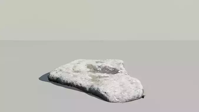 Shell Fossil 3D Scanned Model 3D model Shell Fossil 3D Scanned Model 3D model