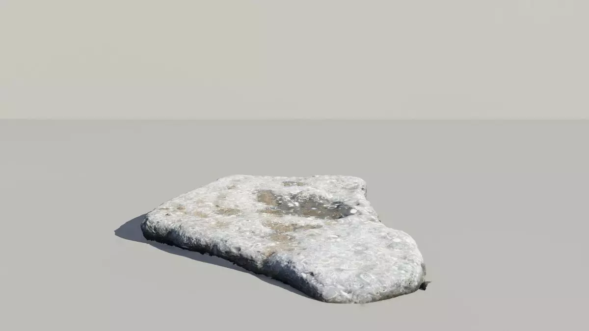 Shell Fossil 3D Scanned Model 3D model_0