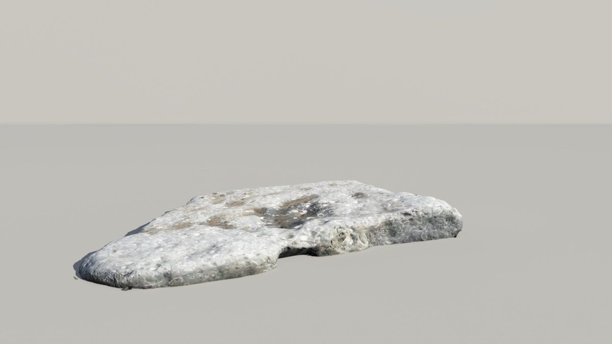 Shell Fossil 3D Scanned Model 3D model_5