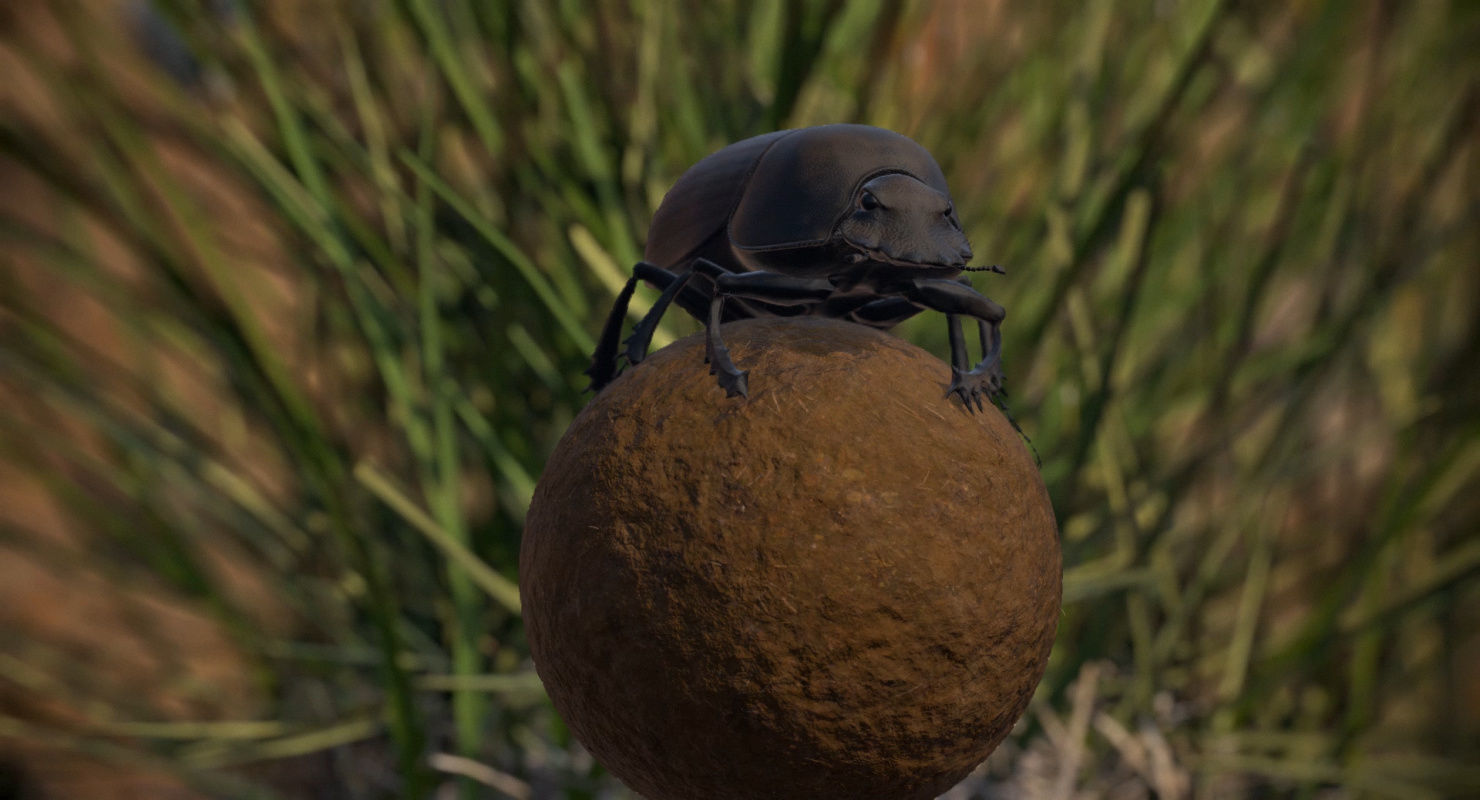 Dung Beetle Low-poly 3D model_11