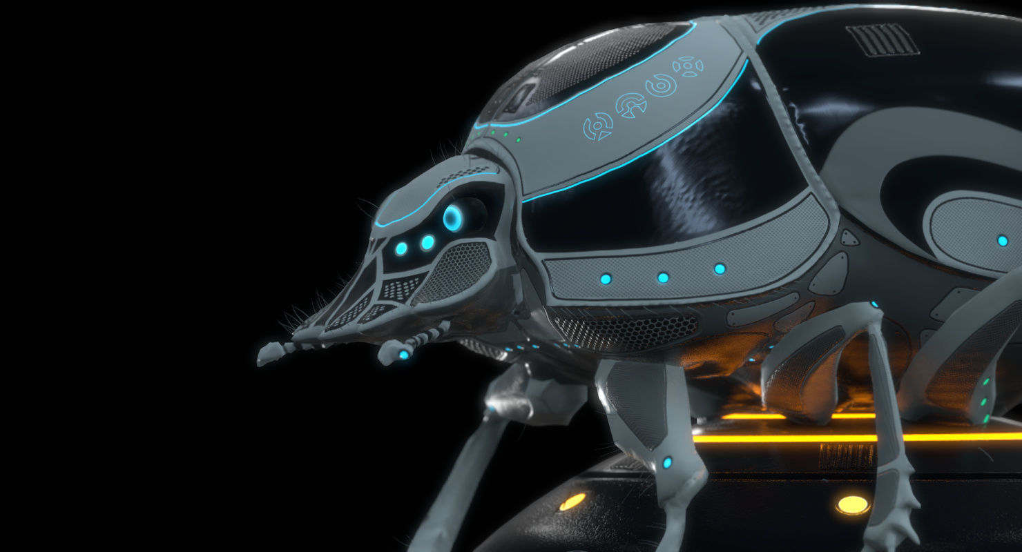 Dung Beetle Low-poly 3D model_62