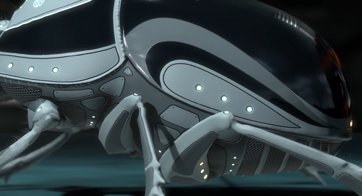 Dung Beetle Low-poly 3D model_57