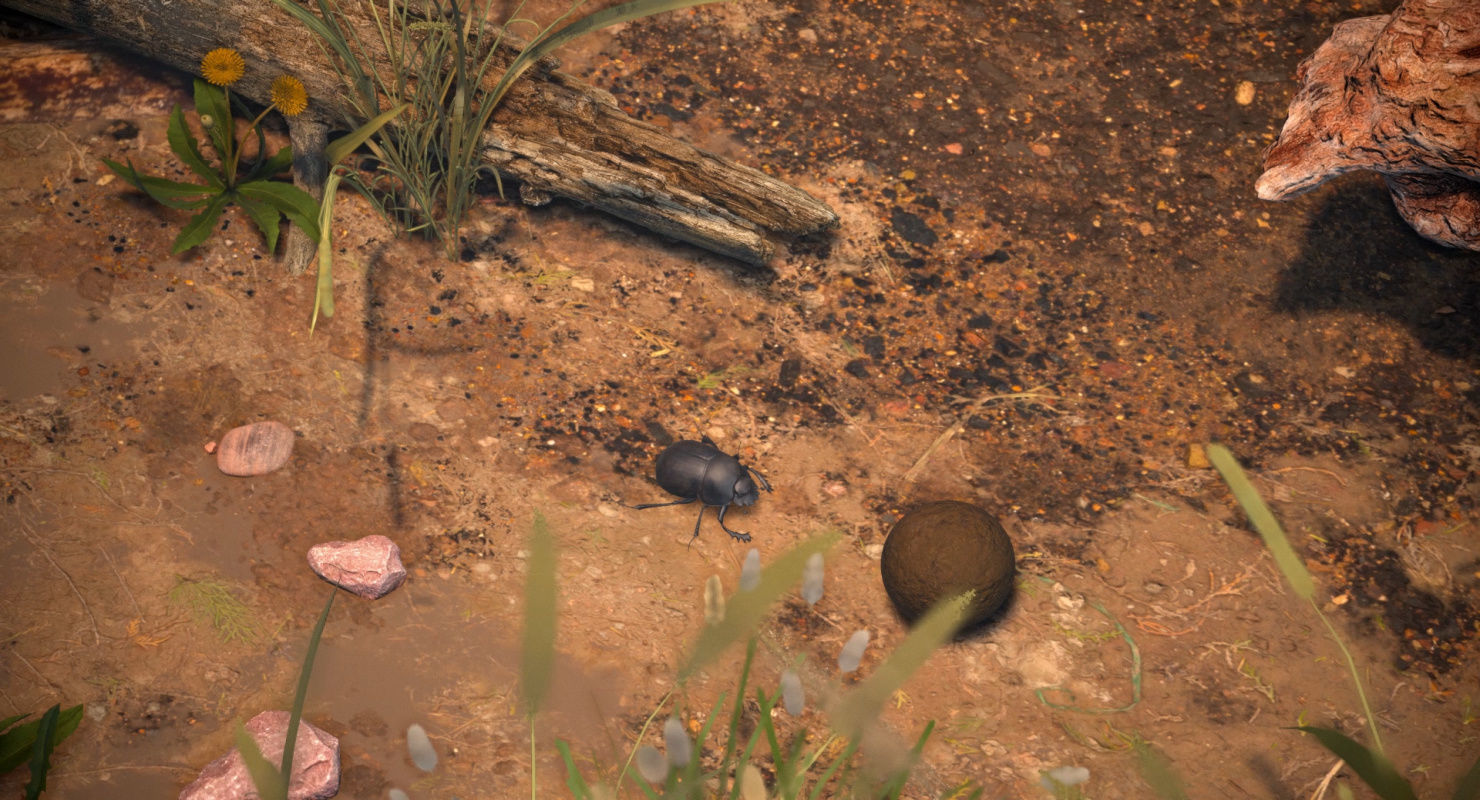 Dung Beetle Low-poly 3D model_7