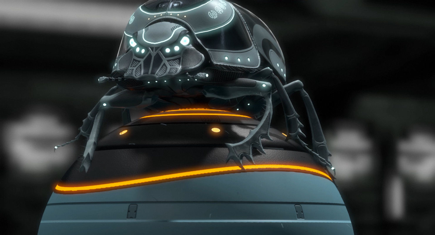 Dung Beetle Low-poly 3D model_33