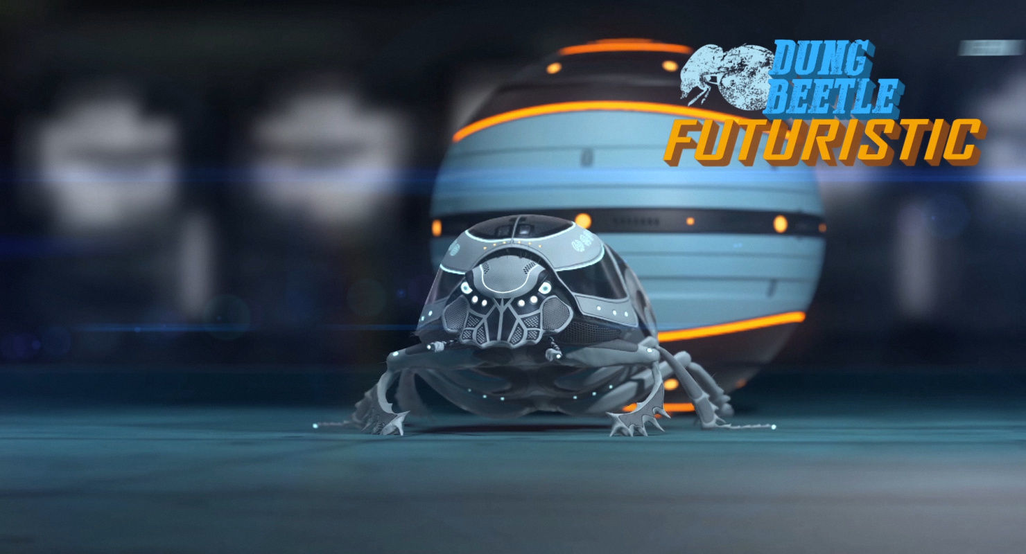 Dung Beetle Low-poly 3D model_59