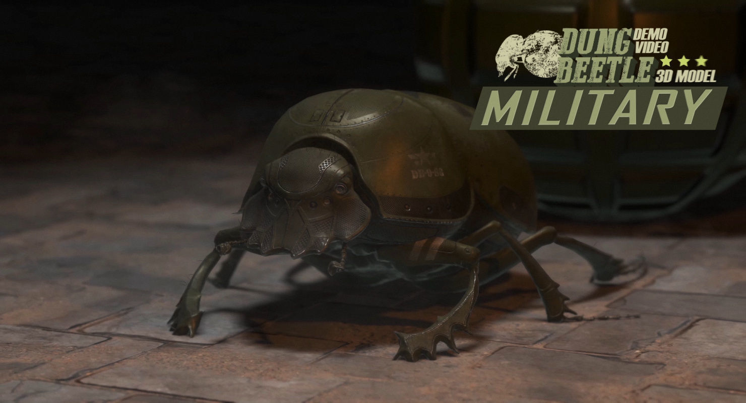 Dung Beetle Low-poly 3D model_13