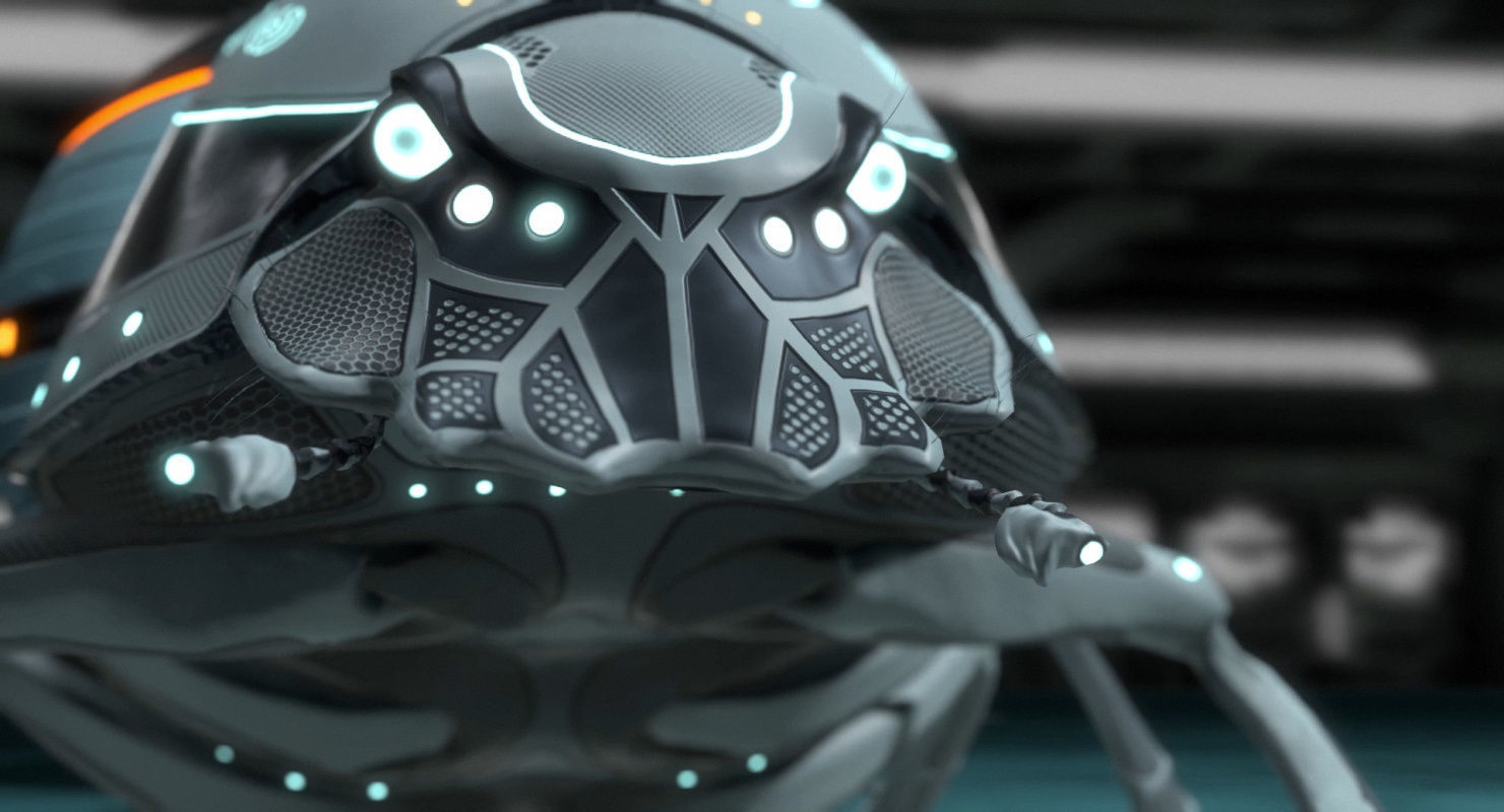 Dung Beetle Low-poly 3D model_52