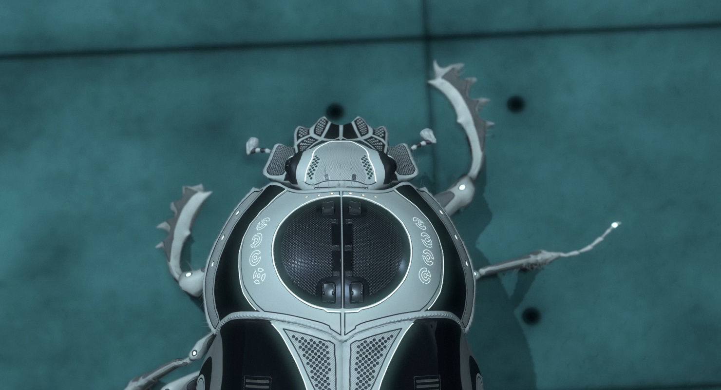 Dung Beetle Low-poly 3D model_37