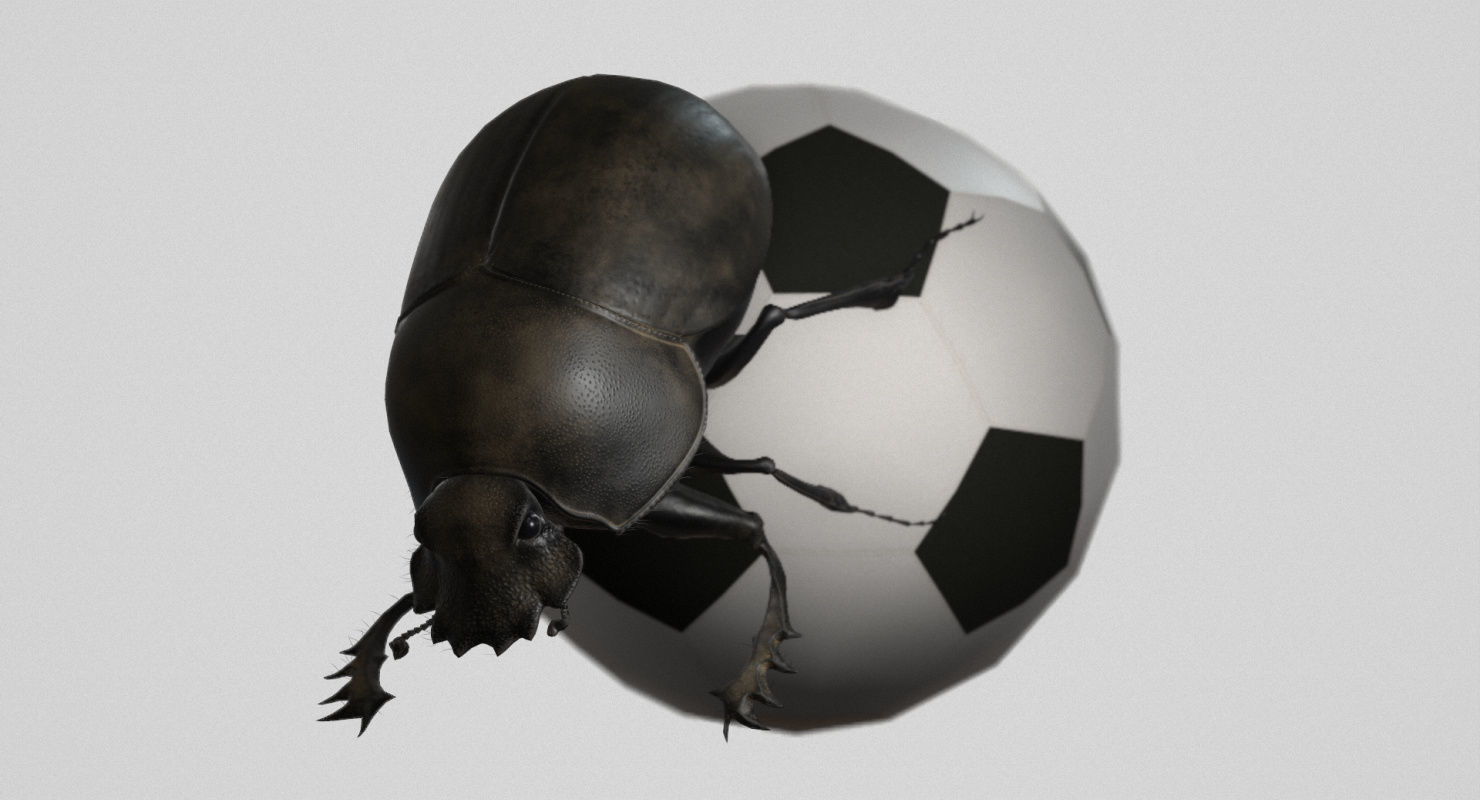 Dung Beetle Low-poly 3D model_70