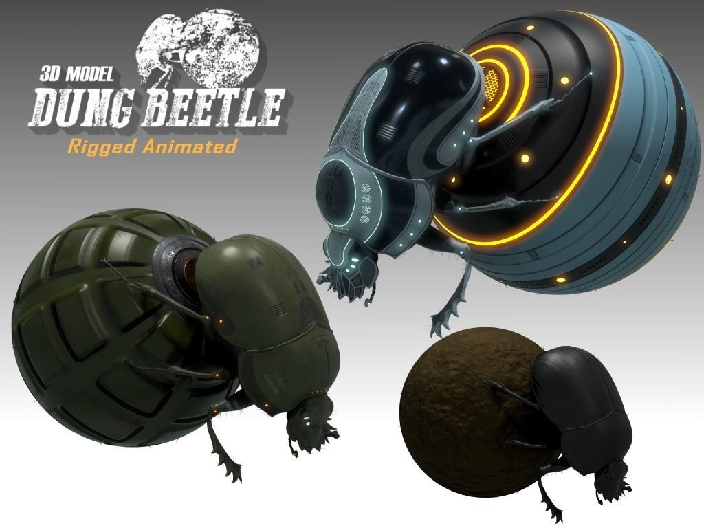 Dung Beetle Low-poly 3D model_3