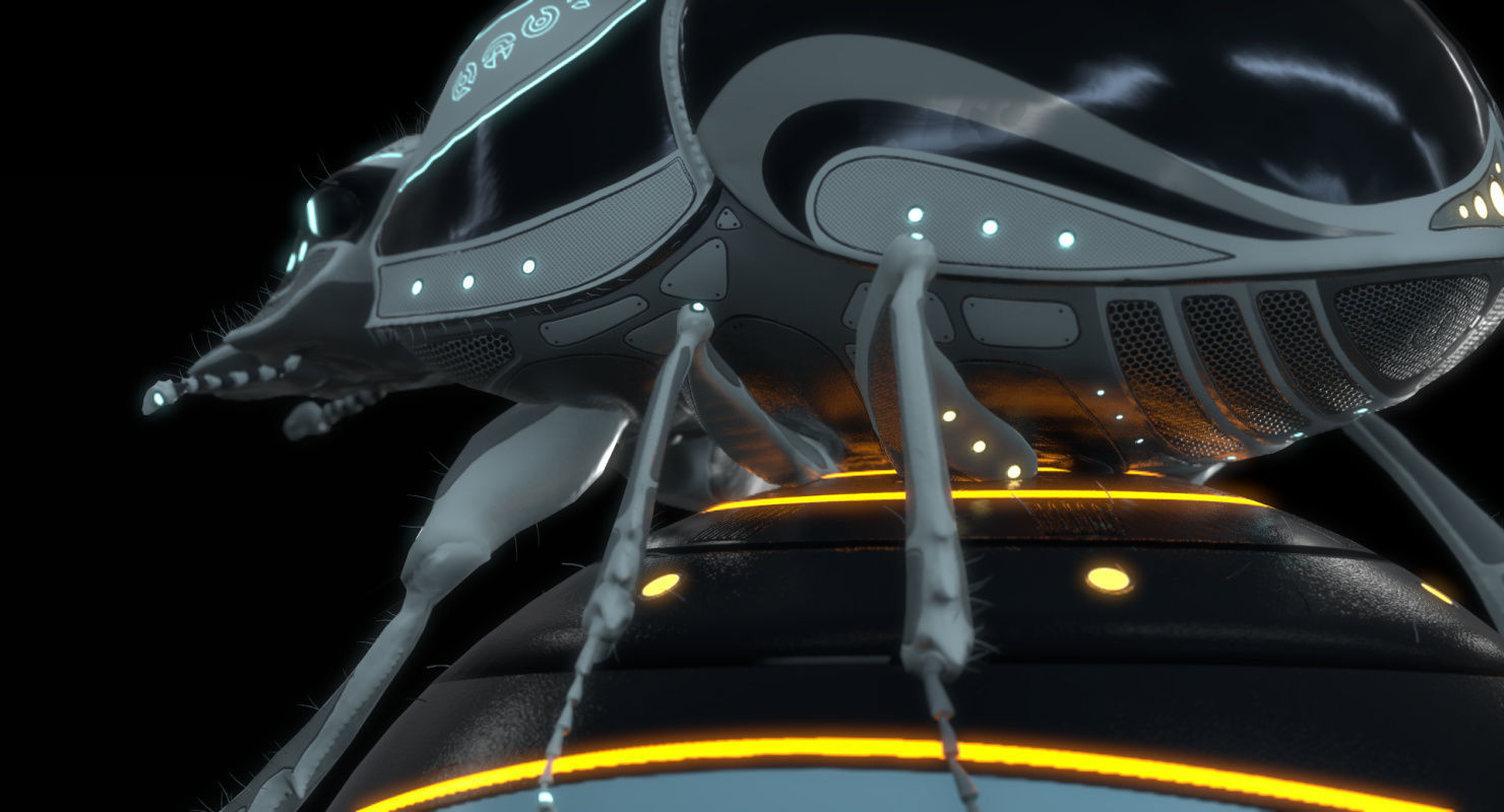 Dung Beetle Low-poly 3D model_61