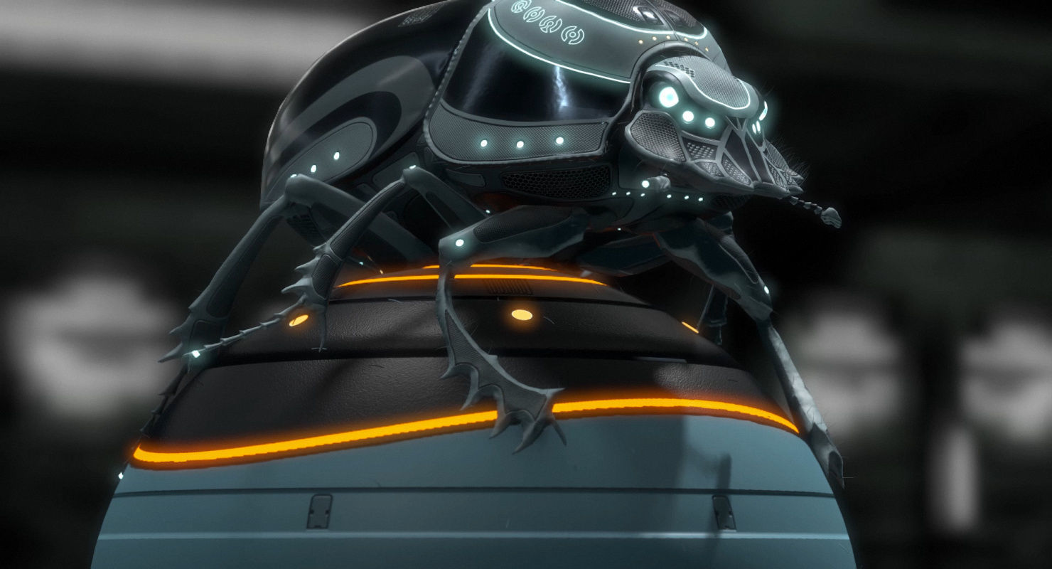 Dung Beetle Low-poly 3D model_31