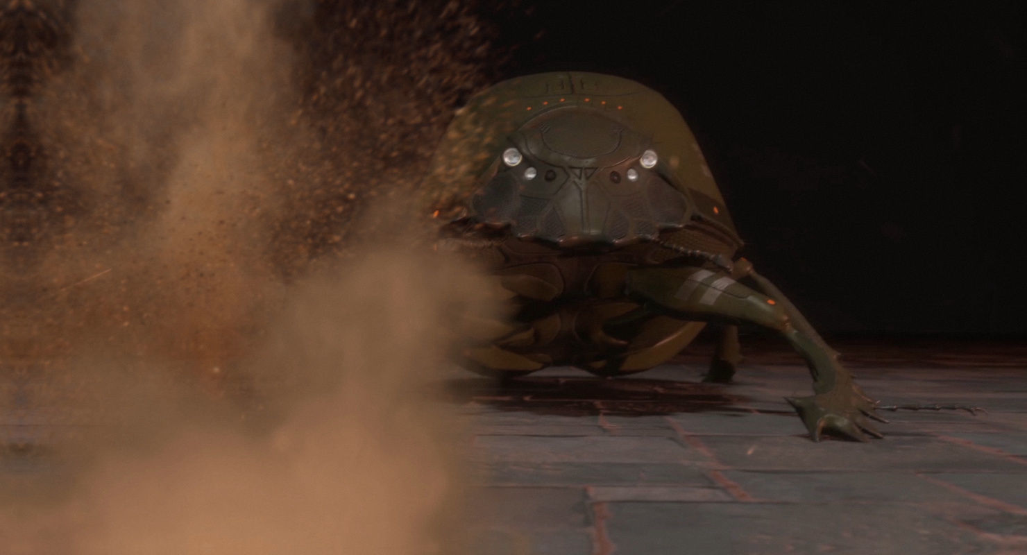 Dung Beetle Low-poly 3D model_24