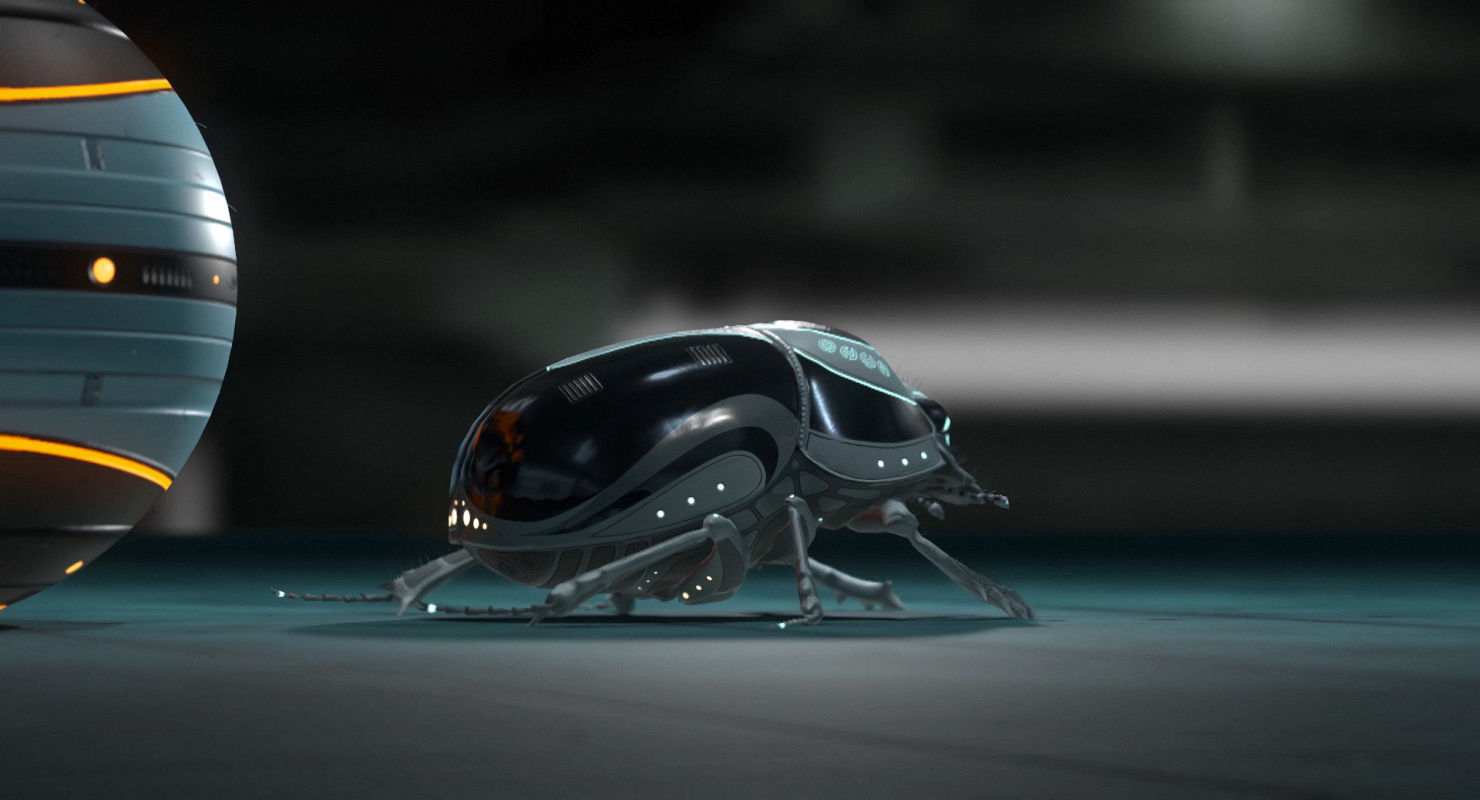 Dung Beetle Low-poly 3D model_26