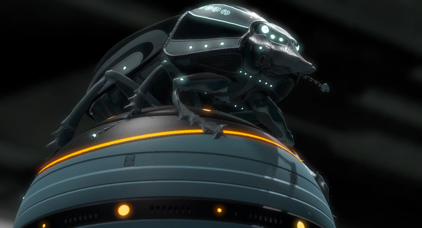 Dung Beetle Low-poly 3D model_36