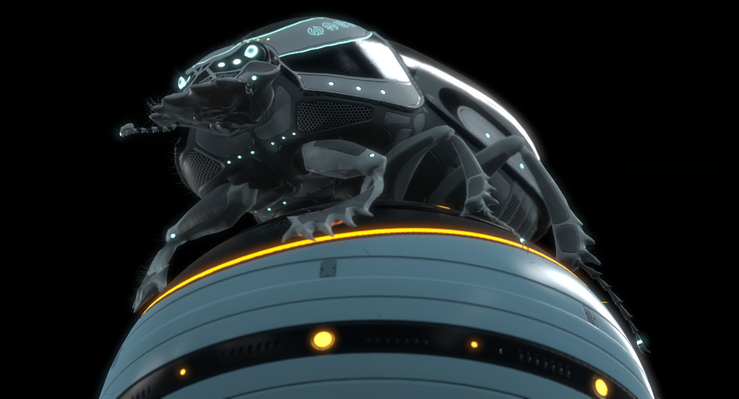 Dung Beetle Low-poly 3D model_63