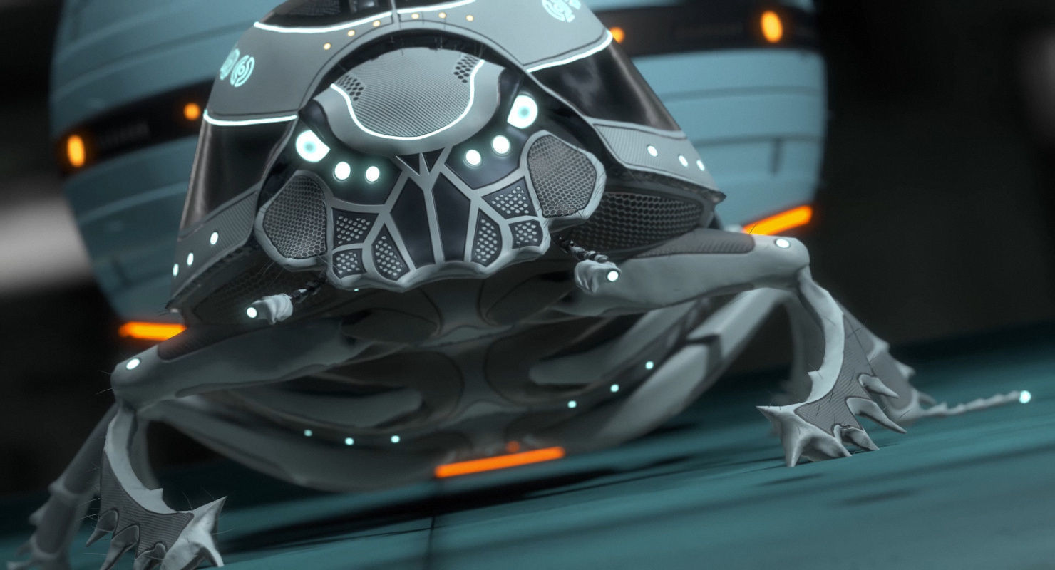 Dung Beetle Low-poly 3D model_51