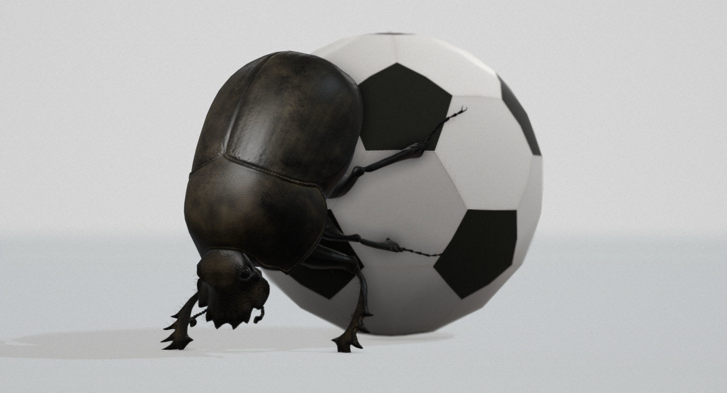 Dung Beetle Low-poly 3D model_71