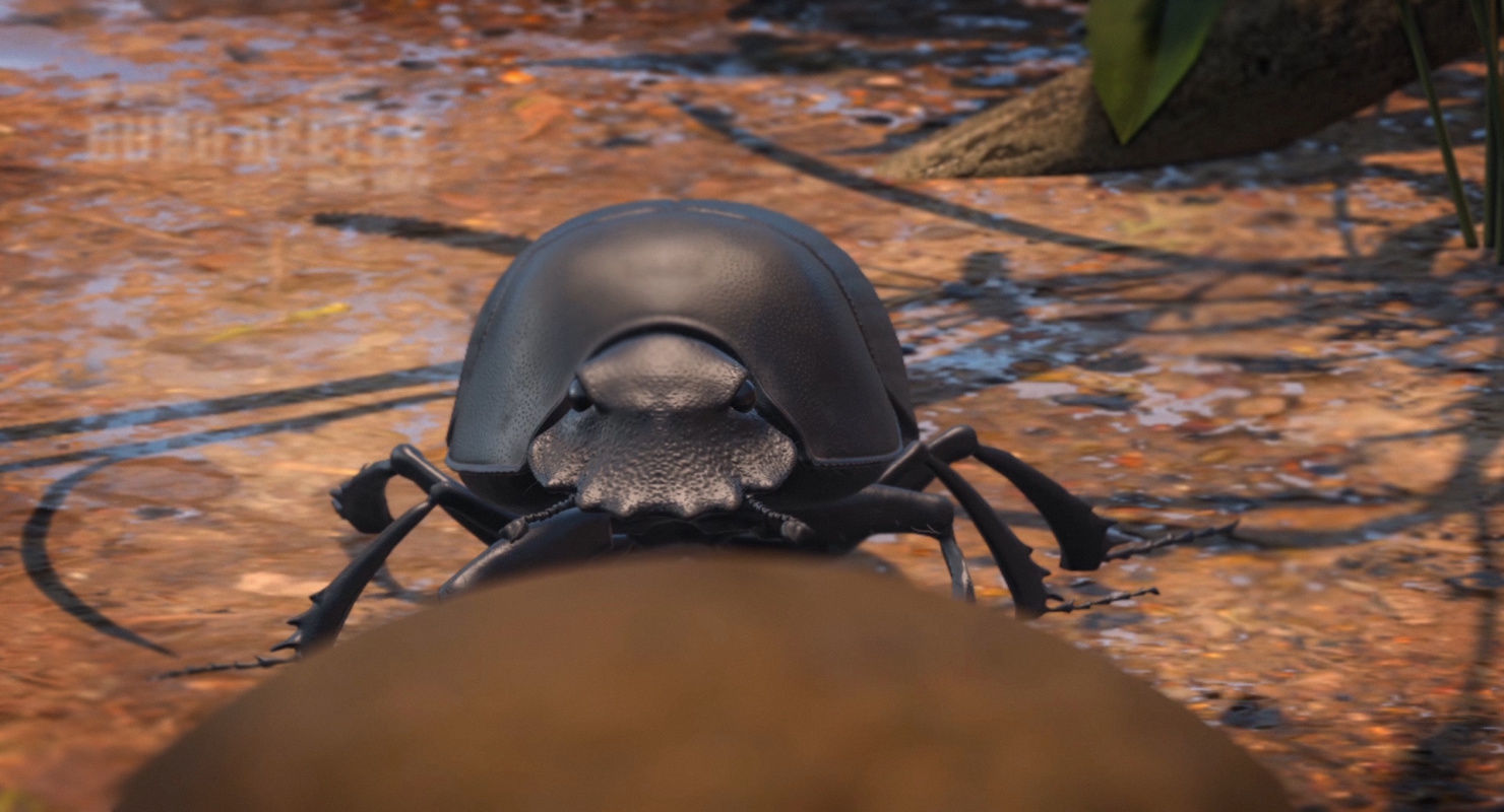 Dung Beetle Low-poly 3D model_9