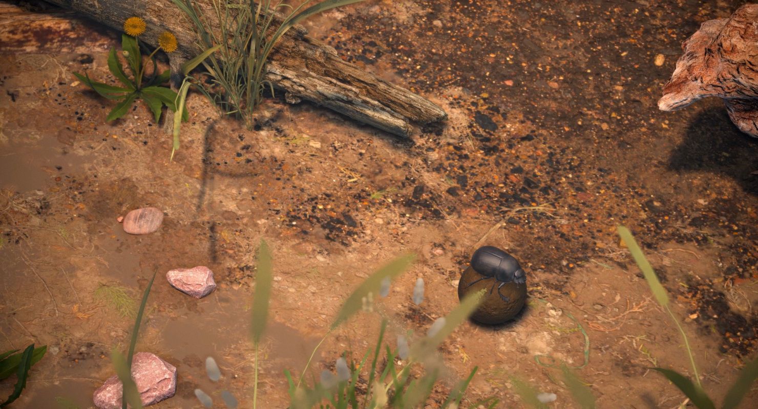 Dung Beetle Low-poly 3D model_8