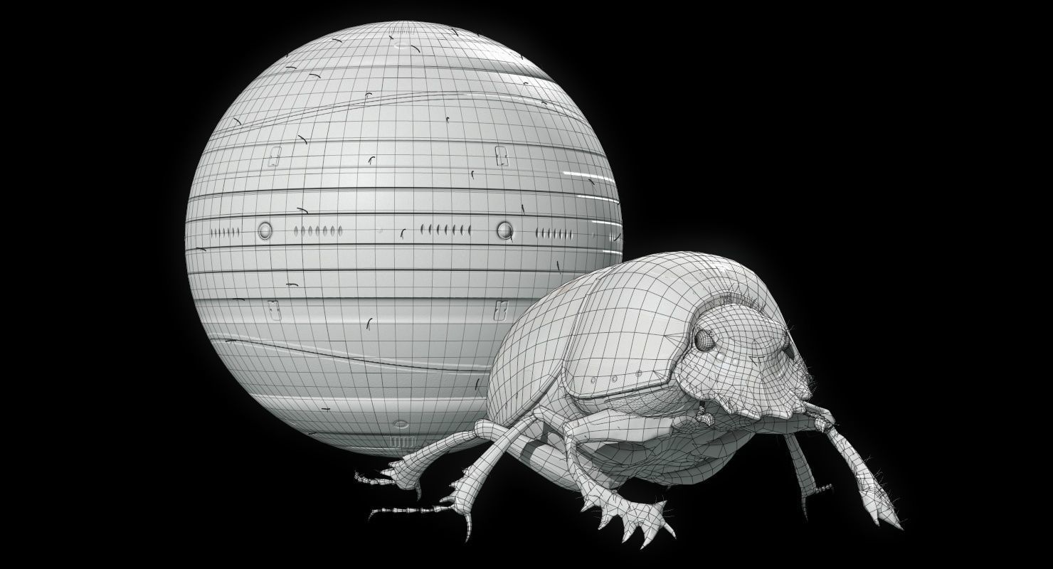 Dung Beetle Low-poly 3D model_78