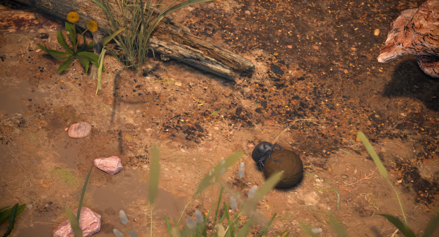 Dung Beetle Low-poly 3D model_6