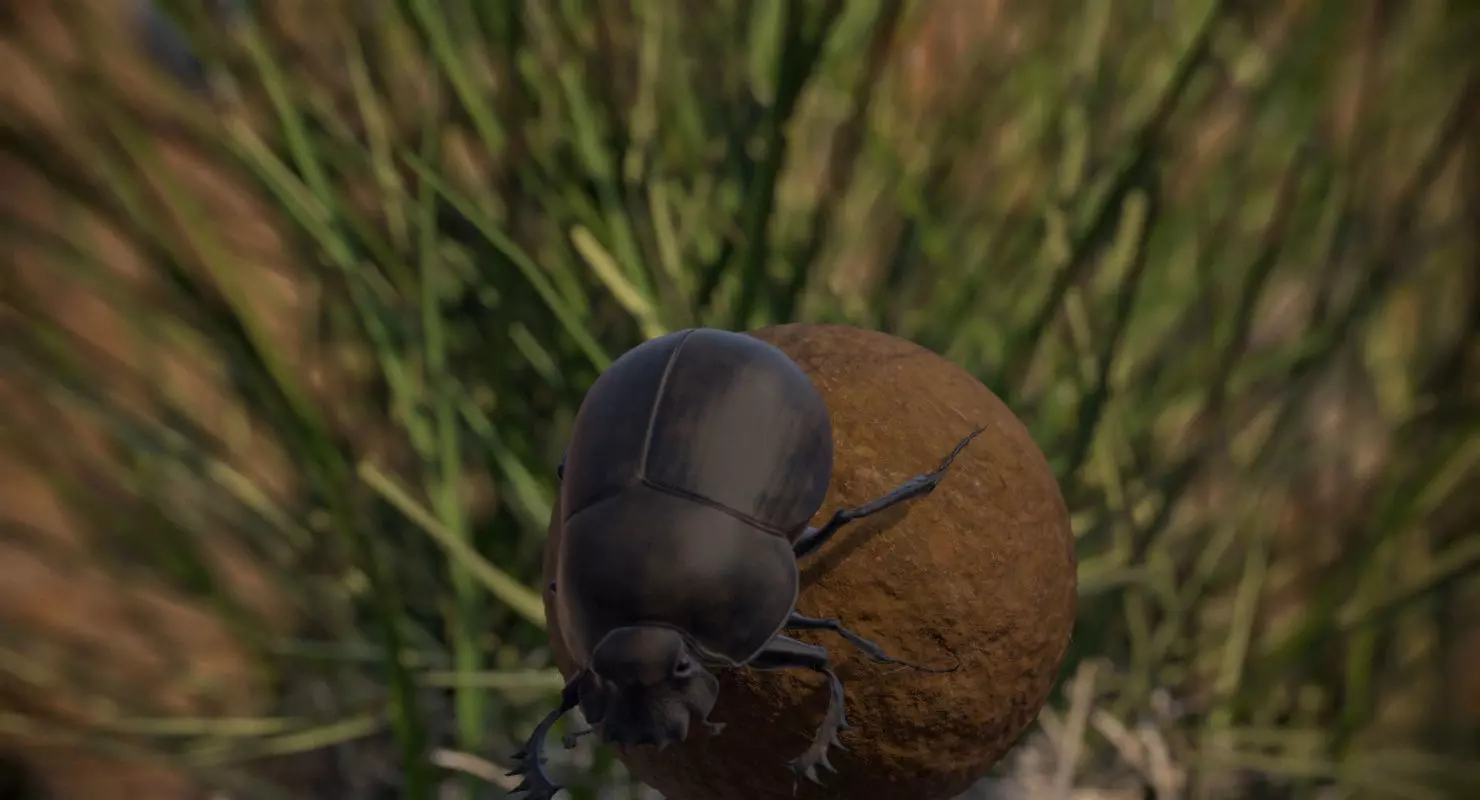 Dung Beetle Low-poly 3D model_0