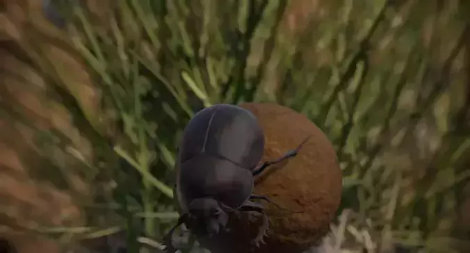 Dung Beetle Low-poly 3D model