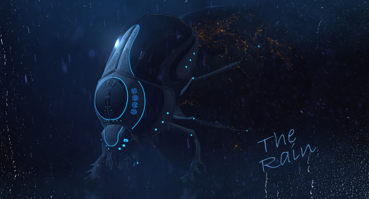 Dung Beetle Low-poly 3D model_75