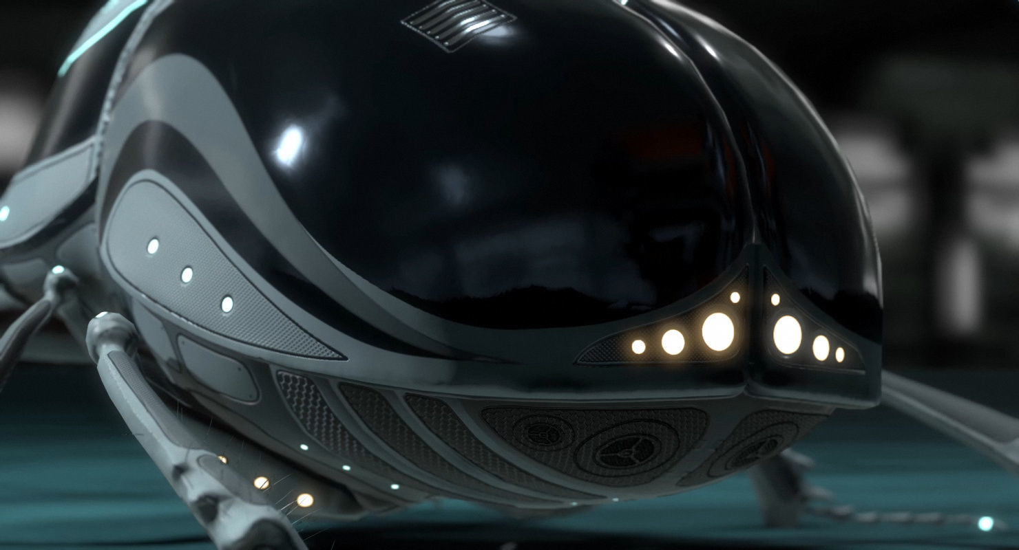 Dung Beetle Low-poly 3D model_60