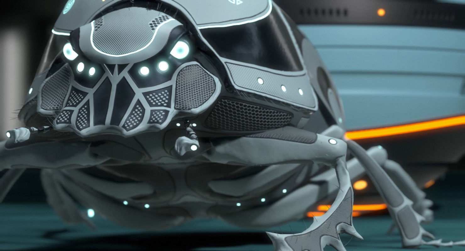 Dung Beetle Low-poly 3D model_30