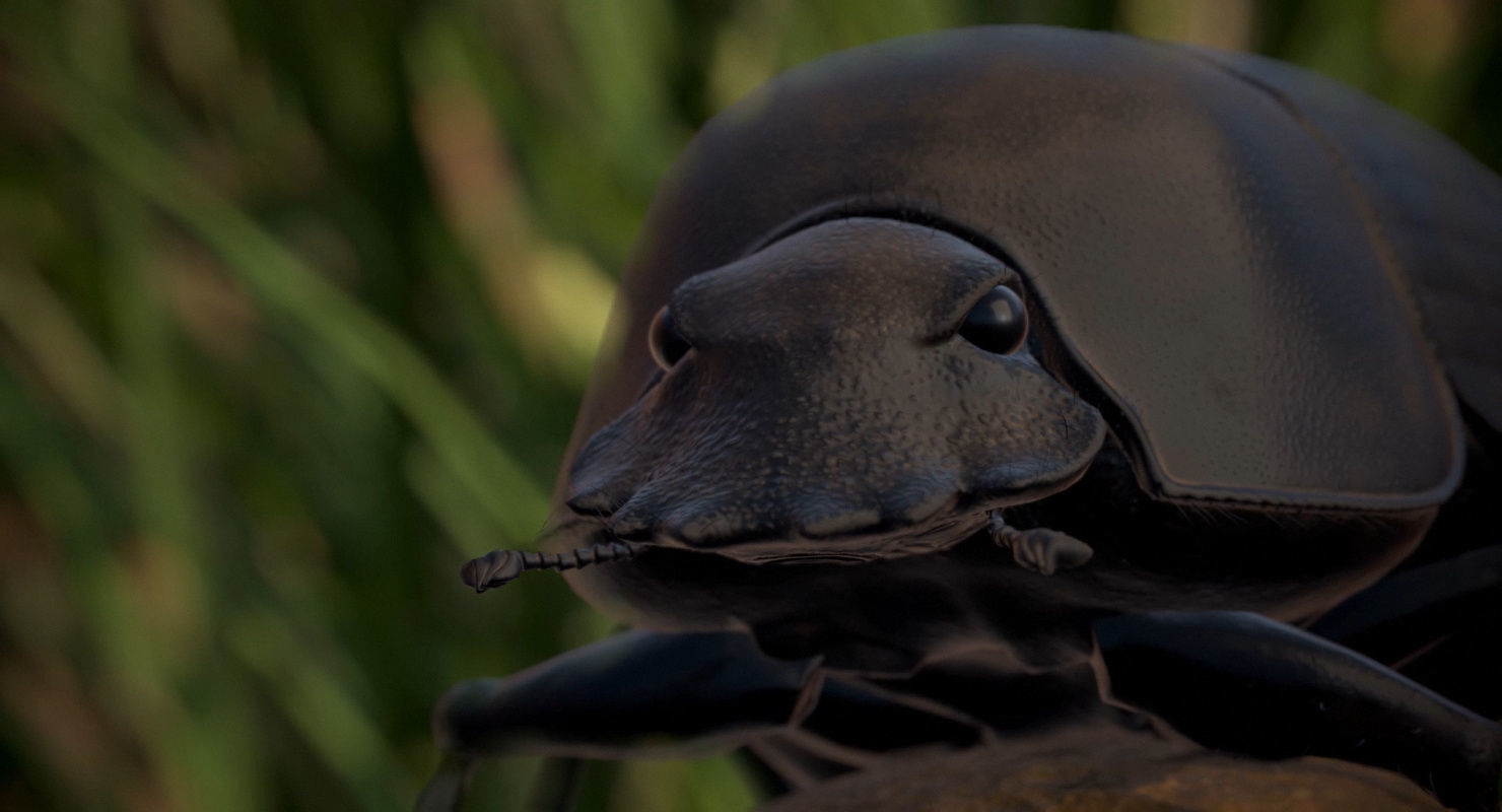 Dung Beetle Low-poly 3D model_10