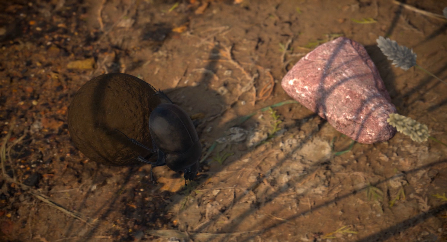 Dung Beetle Low-poly 3D model_4