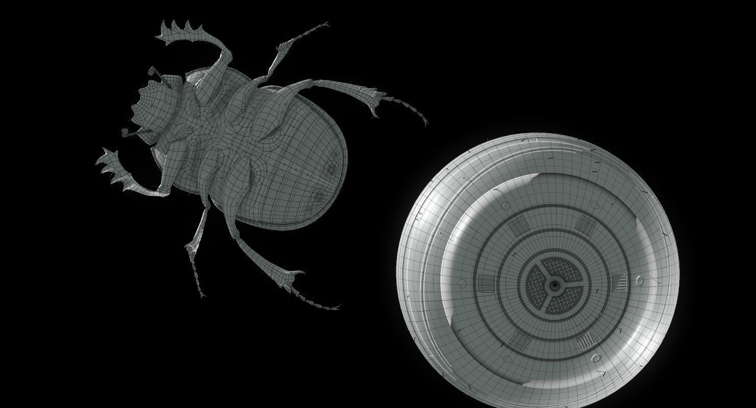 Dung Beetle Low-poly 3D model_80