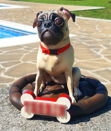Pug dog realistic model  for 3d print 3D print model