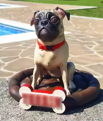 Pug dog realistic model  for 3d print