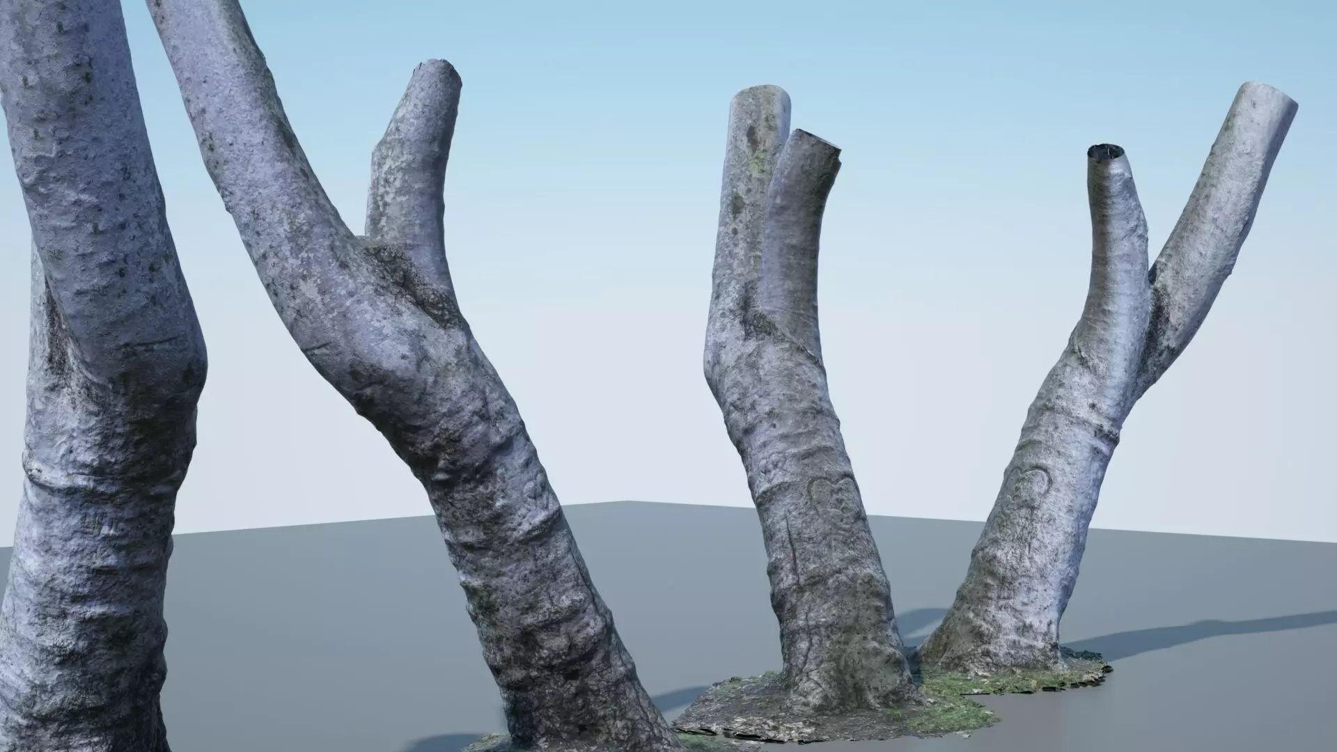 Tree Trunk - 05 3D model_0