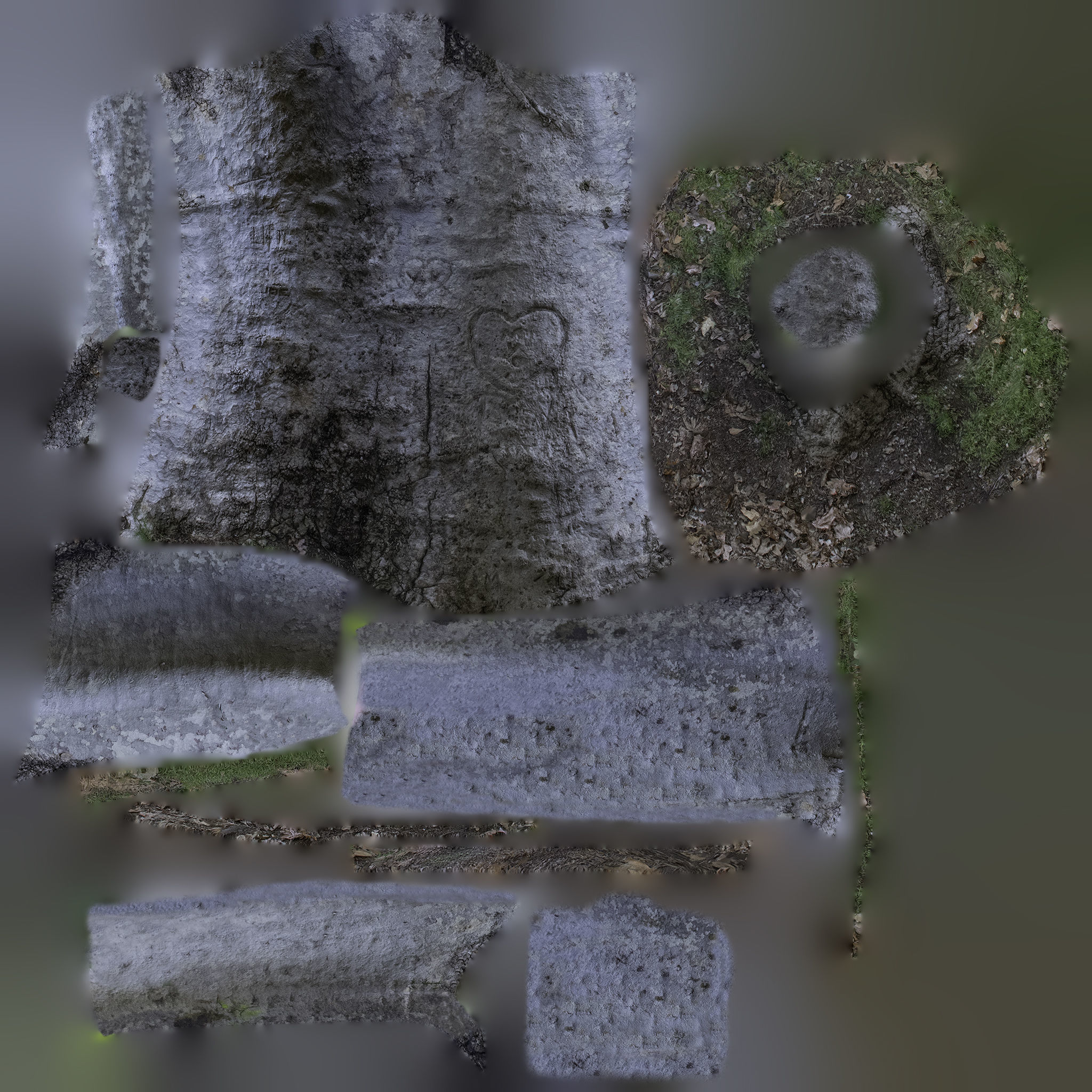 Tree Trunk - 05 3D model_10