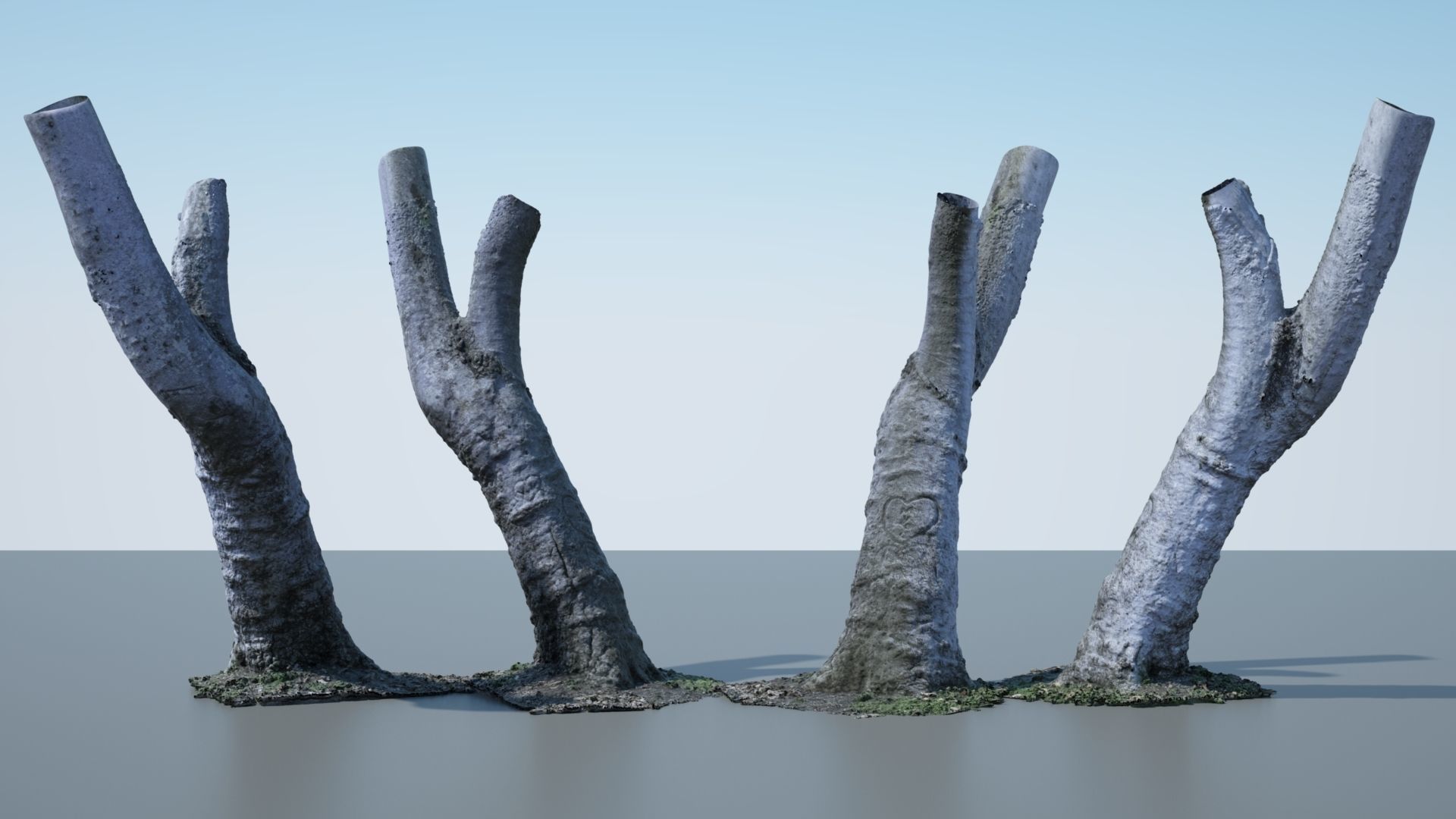 Tree Trunk - 05 3D model_4
