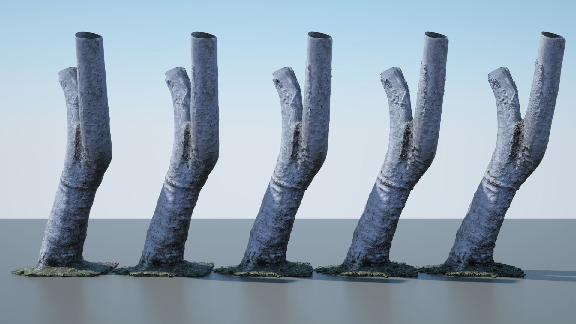 Tree Trunk - 05 3D model_2