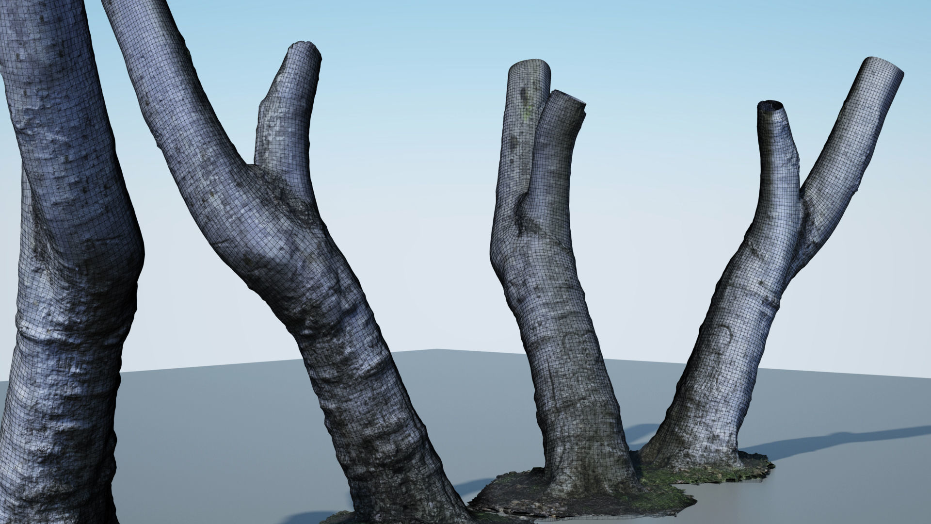 Tree Trunk - 05 3D model_5