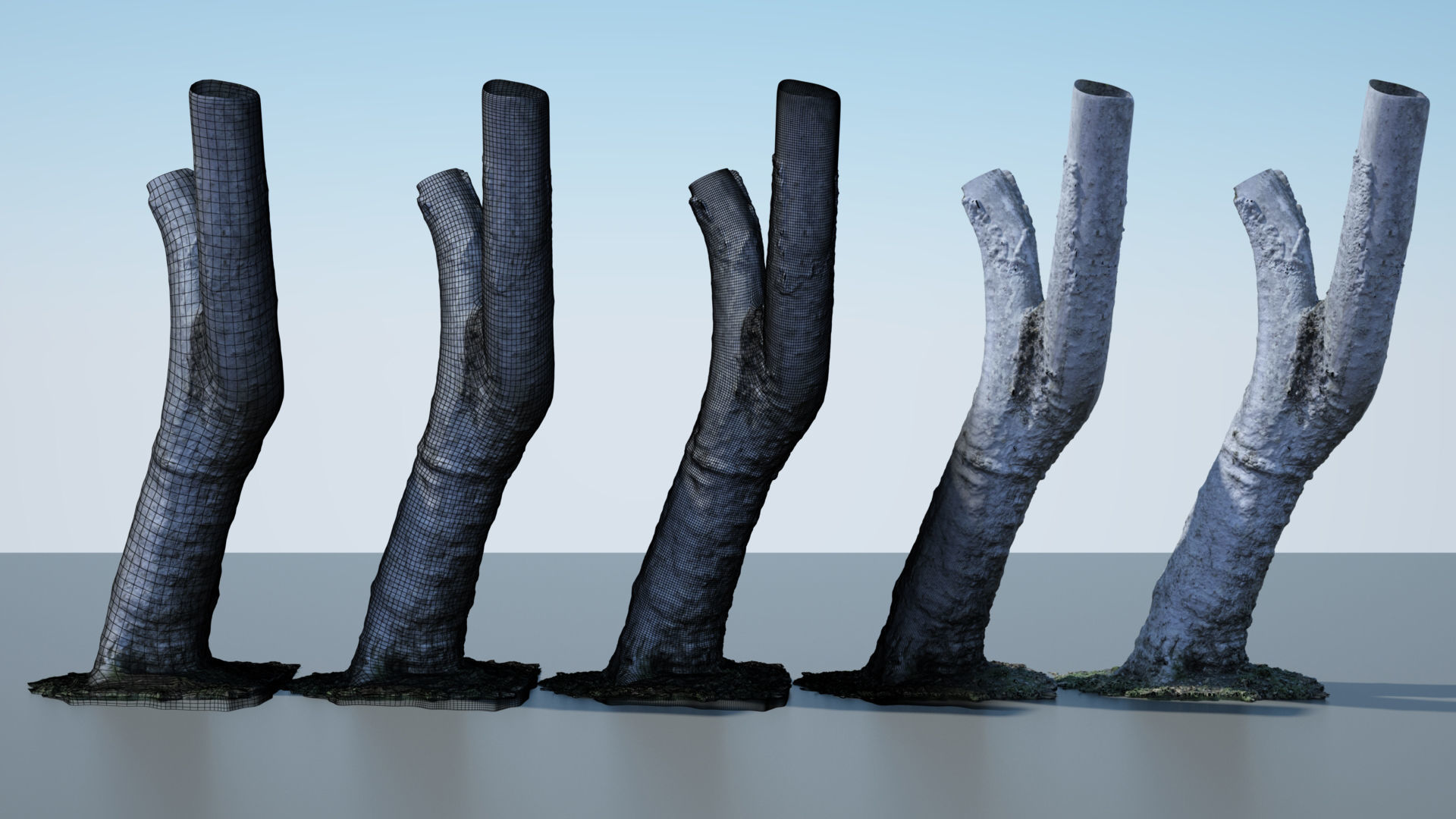 Tree Trunk - 05 3D model_3