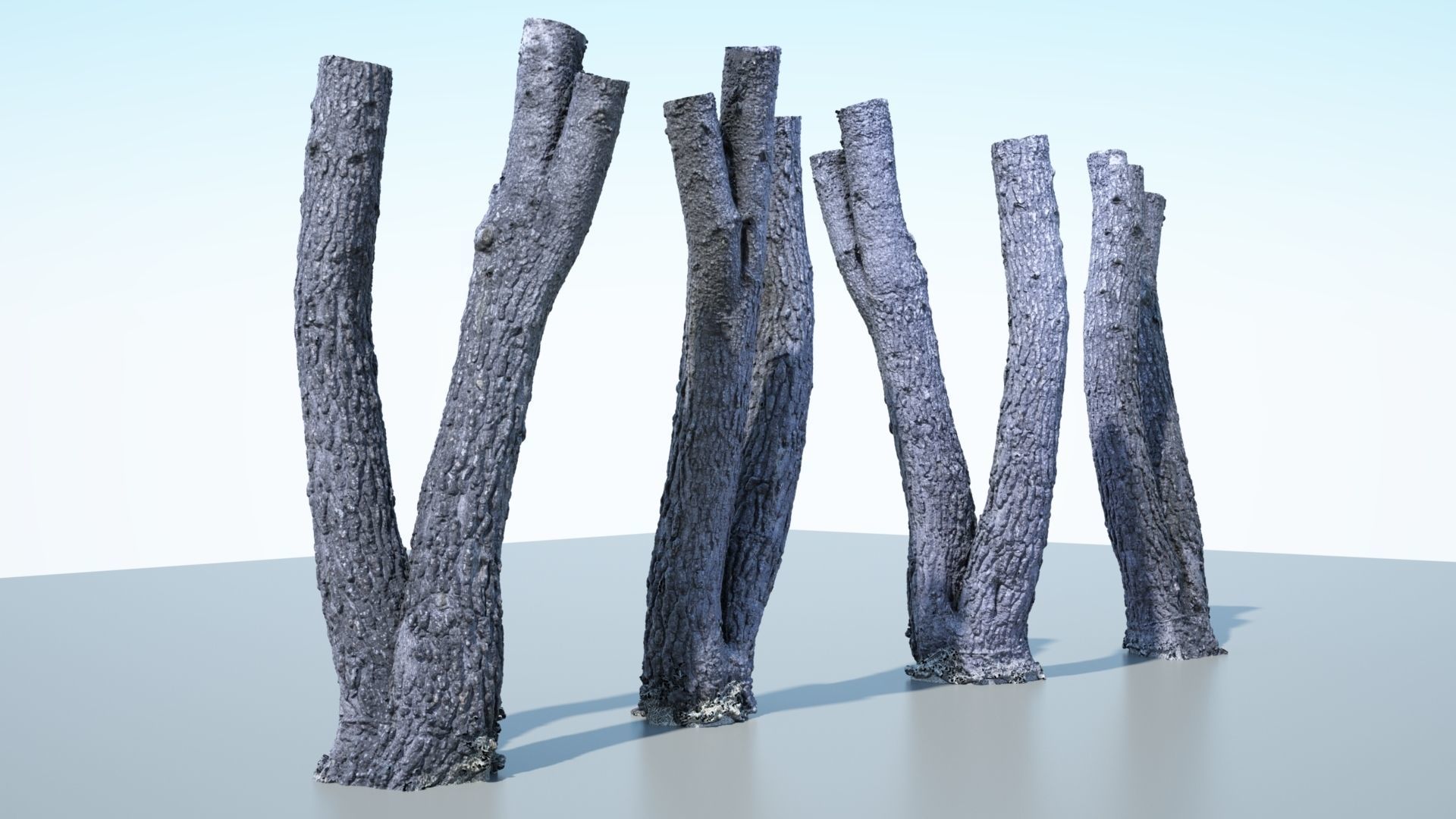 Tree Trunk - 06 3D model_2