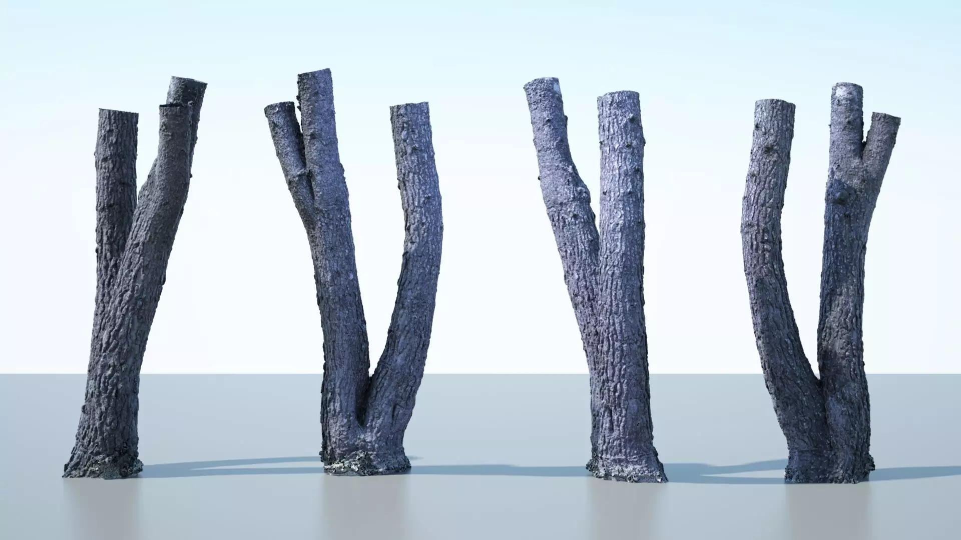 Tree Trunk - 06 3D model_0