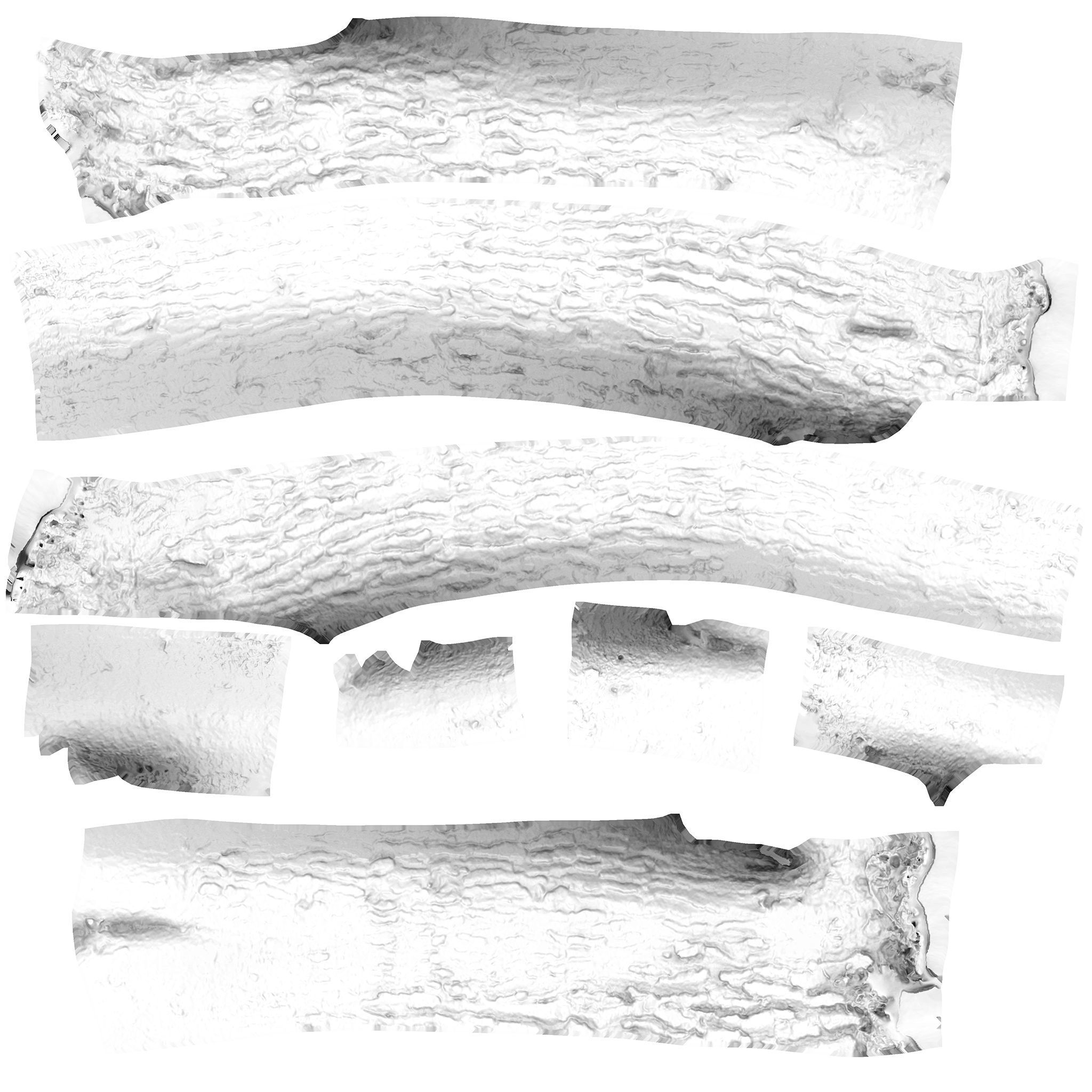 Tree Trunk - 06 3D model_11