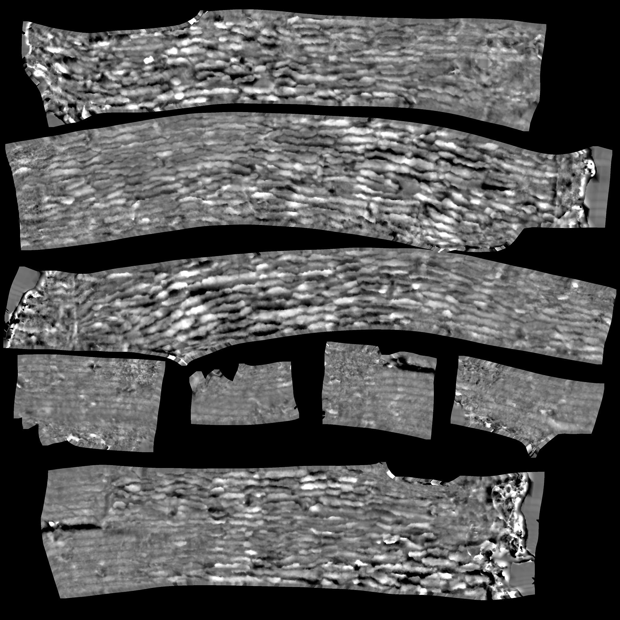 Tree Trunk - 06 3D model_13