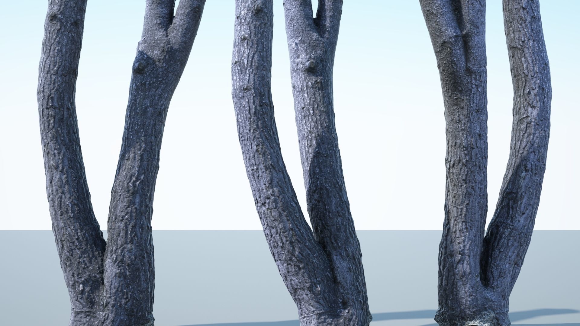 Tree Trunk - 06 3D model_3